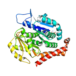 BU of 7evc by Molmil