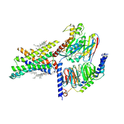 BU of 7evm by Molmil