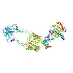 BU of 7ewp by Molmil