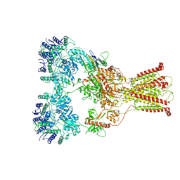 BU of 7f56 by Molmil