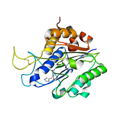 BU of 7fa0 by Molmil