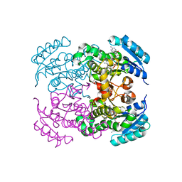 BU of 7fcm by Molmil