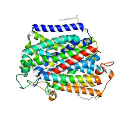 AU of 7fen by Molmil