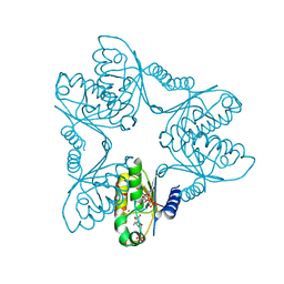 BU of 7fh9 by Molmil