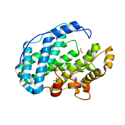 BU of 7fhv by Molmil