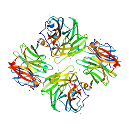 BU of 7fip by Molmil