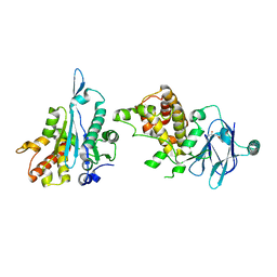 BU of 7fkb by Molmil