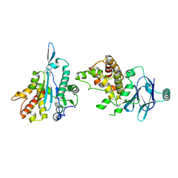 BU of 7fkw by Molmil