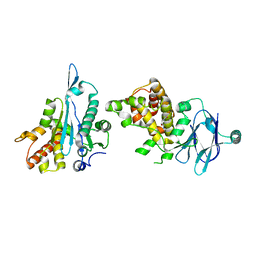 BU of 7fmc by Molmil