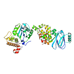 BU of 7fmi by Molmil