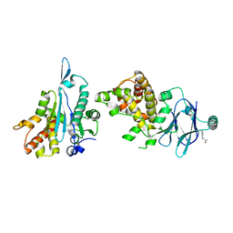 BU of 7fmp by Molmil