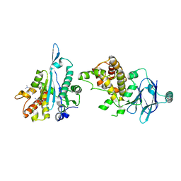 BU of 7fms by Molmil