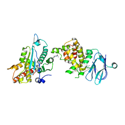 BU of 7fn1 by Molmil