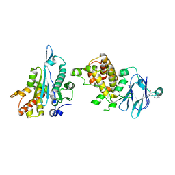 BU of 7fnh by Molmil