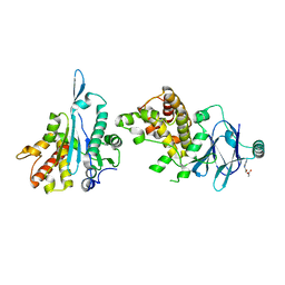 BU of 7fnp by Molmil