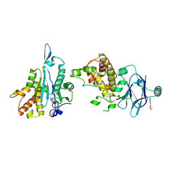 BU of 7foa by Molmil