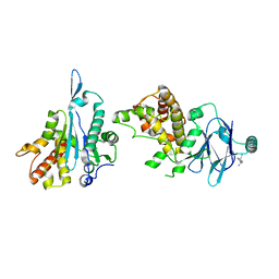 BU of 7fp6 by Molmil