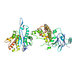 BU of 7fp8 by Molmil