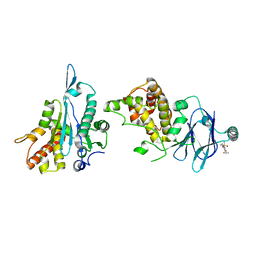 BU of 7fp9 by Molmil