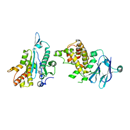 BU of 7fpi by Molmil