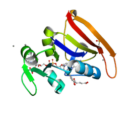 BU of 7fpn by Molmil