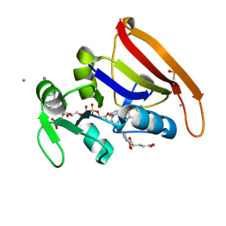 BU of 7fpq by Molmil