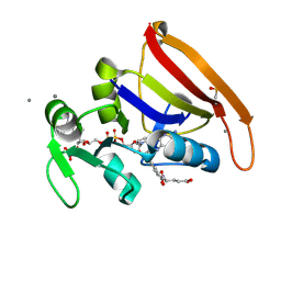 BU of 7fq1 by Molmil