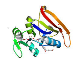 BU of 7fqb by Molmil