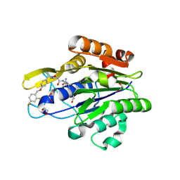 BU of 7fqi by Molmil