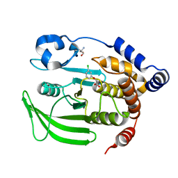 BU of 7fqu by Molmil