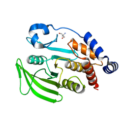 BU of 7fqx by Molmil