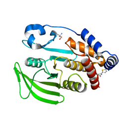 BU of 7frp by Molmil