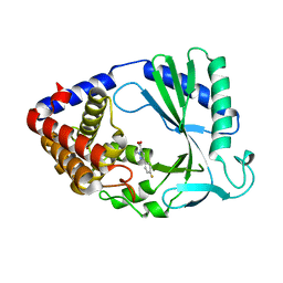 BU of 7fti by Molmil