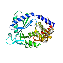 BU of 7ftp by Molmil