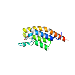 BU of 7fv9 by Molmil