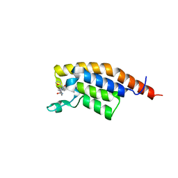 BU of 7fvf by Molmil