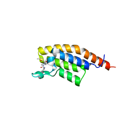 BU of 7fvp by Molmil