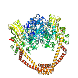 BU of 7fvs by Molmil