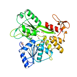 BU of 7g9t by Molmil