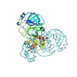 BU of 7gel by Molmil