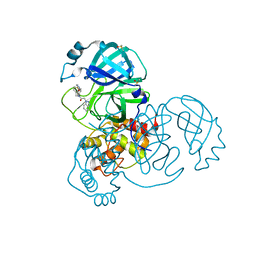 BU of 7gfo by Molmil