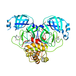 BU of 7gm4 by Molmil