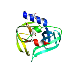 BU of 7gpp by Molmil