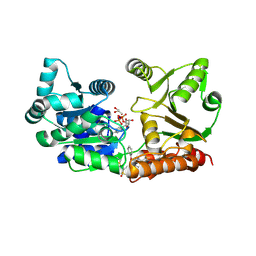 BU of 7gqu by Molmil