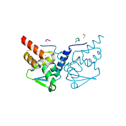 BU of 7gvs by Molmil