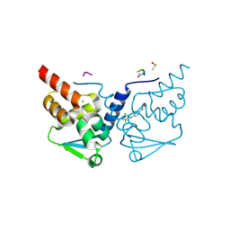 BU of 7gvt by Molmil