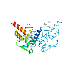 BU of 7gw6 by Molmil