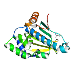 AU of 7hbv by Molmil
