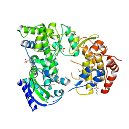 BU of 7hku by Molmil