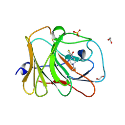 BU of 7hnp by Molmil